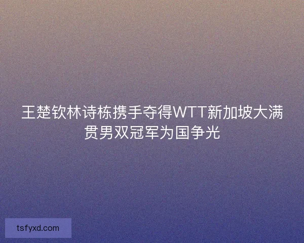 王楚钦林诗栋携手夺得WTT新加坡大满贯男双冠军为国争光