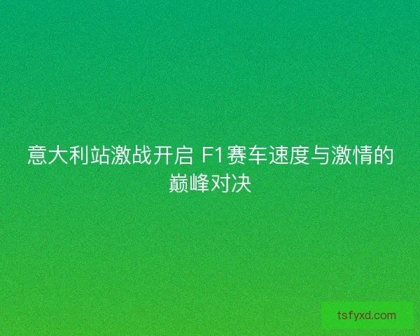 意大利站激战开启 F1赛车速度与激情的巅峰对决
