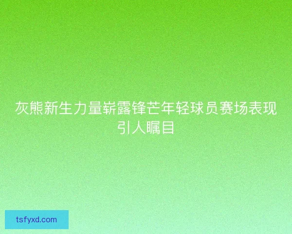 灰熊新生力量崭露锋芒年轻球员赛场表现引人瞩目