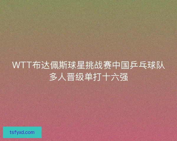 WTT布达佩斯球星挑战赛中国乒乓球队多人晋级单打十六强