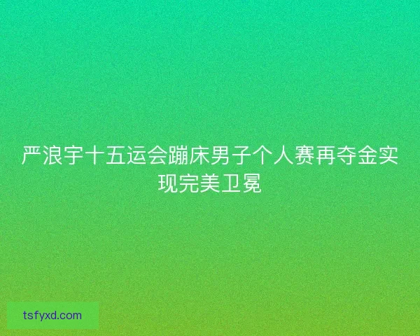 严浪宇十五运会蹦床男子个人赛再夺金实现完美卫冕